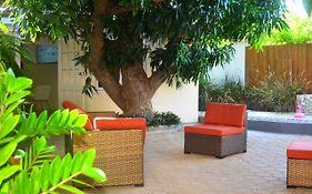 Homey Vacation And Carrental