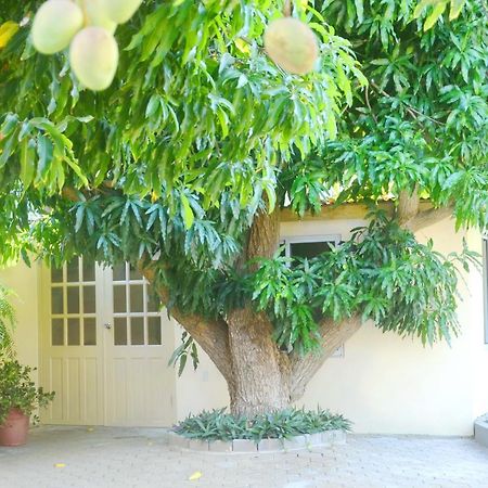 Homey Vacation And Carrental Willemstad Luaran gambar