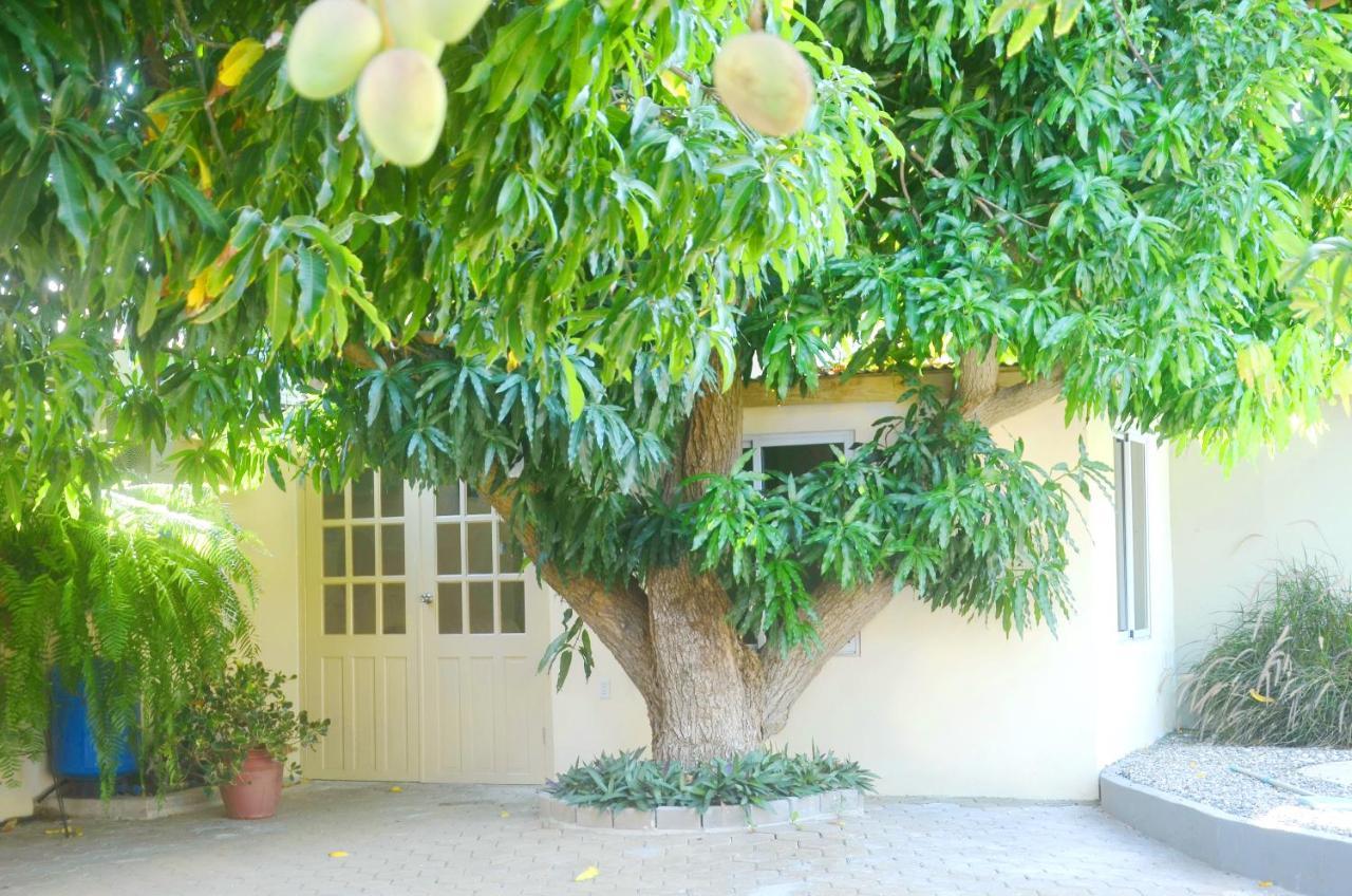 Homey Vacation And Carrental Willemstad Luaran gambar